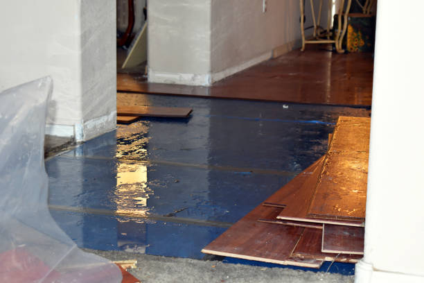 Professional Burst Pipe Cleanup technician working in Stanton, MI